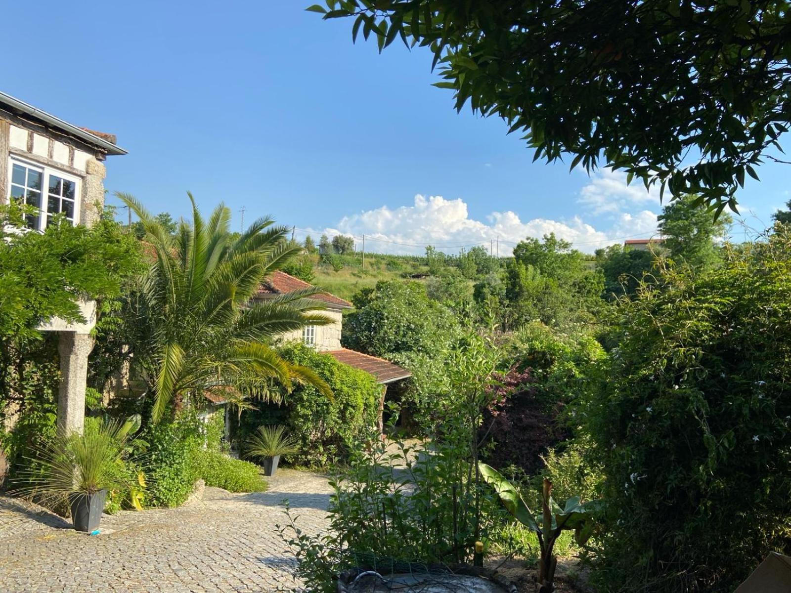 Вилла Quinta De Ribas Амаранте Экстерьер фото