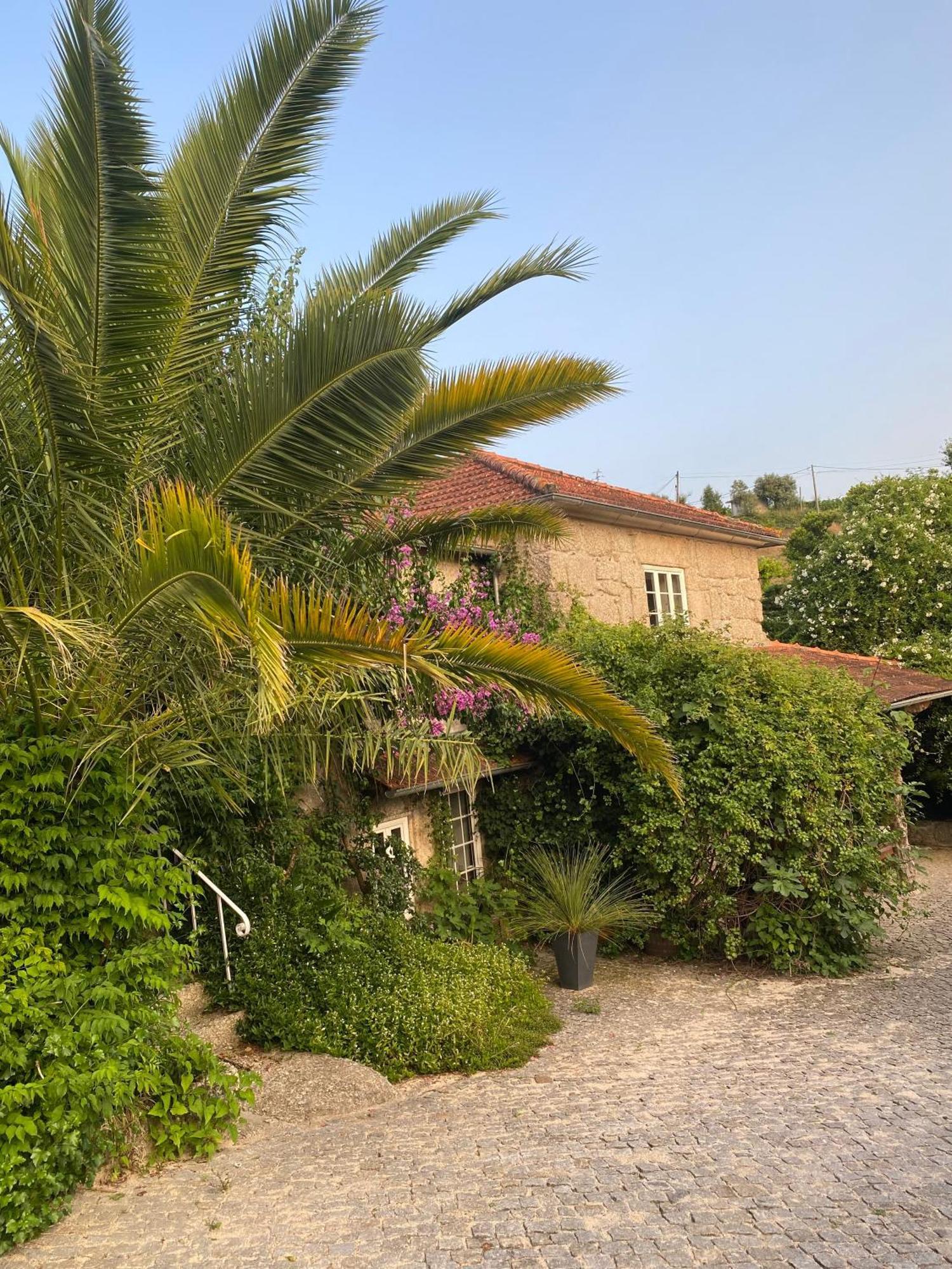 Вилла Quinta De Ribas Амаранте Экстерьер фото