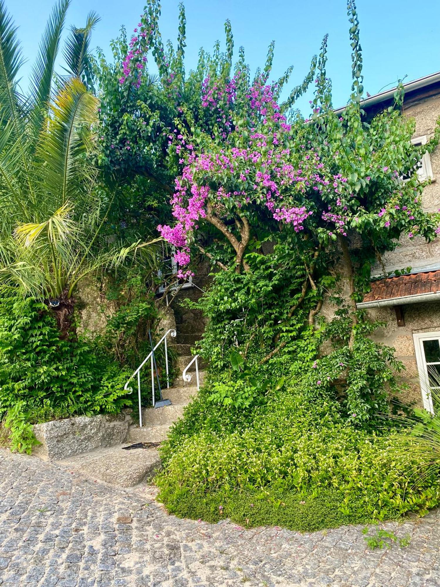 Вилла Quinta De Ribas Амаранте Экстерьер фото